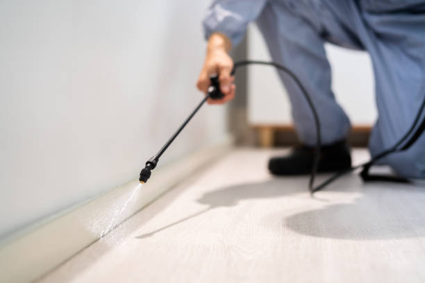 Licensed Mosquito Control service in Sidney, IL - Show Me Pest Control