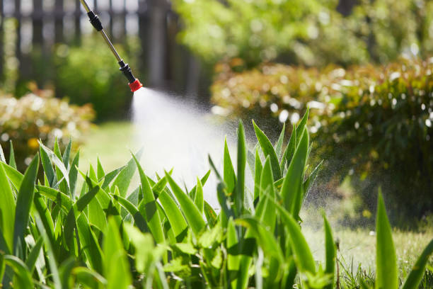 24/7 Emergency Mosquito Control experts in Sidney, IL