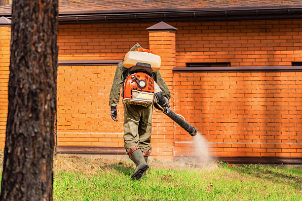 Top rated local Mosquito Control specialists in Sidney, IL